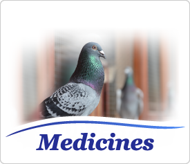 Medicines for pigeons